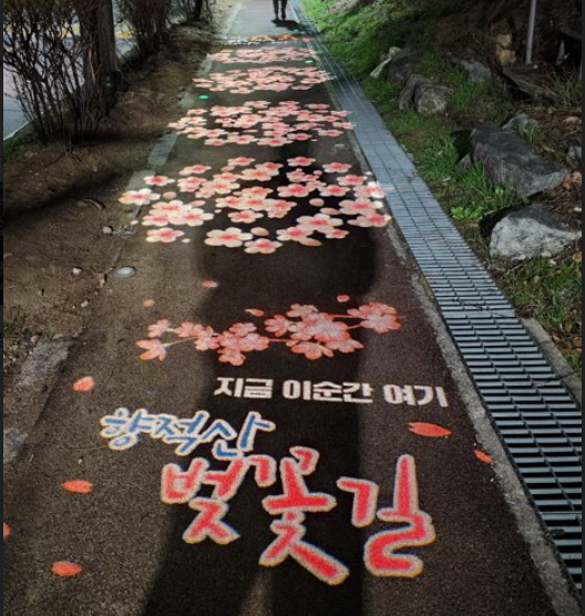 ▲향적산 벚꽃길 야간경관조명 점등 모습 [계룡시 제공]